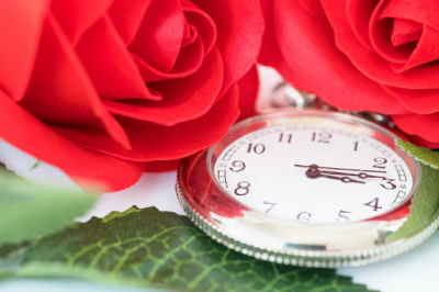Bouquet 12 Rosas Tallo Corto, Ramo de Rosas Rojas para San Valentín, Rosas Rojas para Sant Jordi, Rosas Rojas, Envíos Florales Urgentes a Oviedo