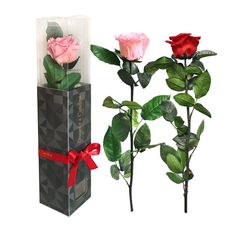 Rosa Preservada, Regalo de San Valentín, Rosa Eterna, Floristería Online, Rosas Naturales, Floristerías en Oviedo, Flores Sara