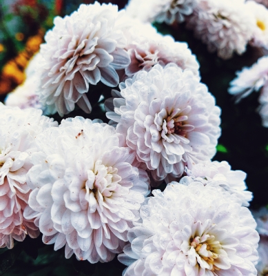 Centro Lágrima tonos Blancos, Enviar Flores Blancas al Tanatorio, Flores para Difuntos, Floristería en Oviedo, Comprar Flores Online