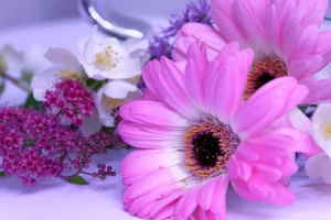 Ramo Flores Viena, Floristerías en Oviedo, Ramo Blanco para Regalar, Flores en Oviedo, Arreglos Florales, Comprar Flores Online